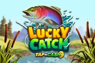 k444 Play Slots and Live Tables From Anywhere